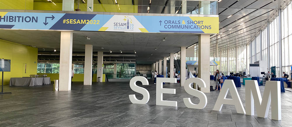 SESAM entrance